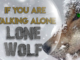 If you are walking alone. (Lone wolf)