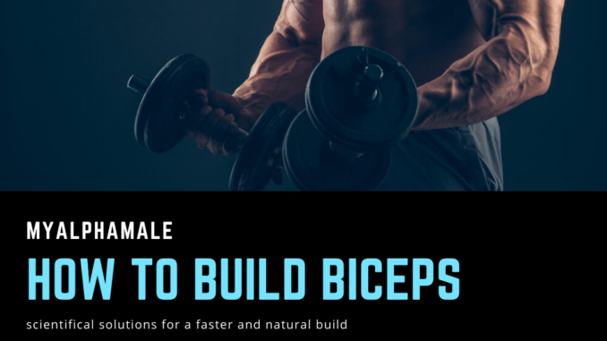 How to build biceps faster