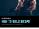 How to build biceps faster